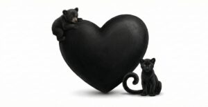 【絵文字コピペ可】黒色のハート(🖤)の意味は「嫌い」?地雷系女子やSnow Manファンが使う本当の理由